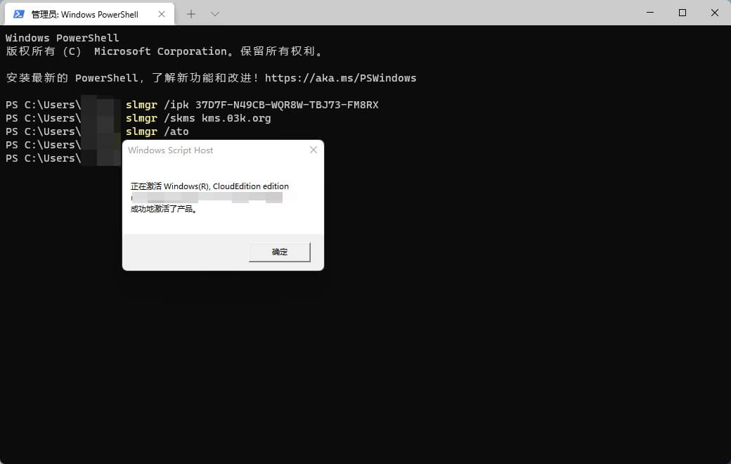 激活Windows11-SE