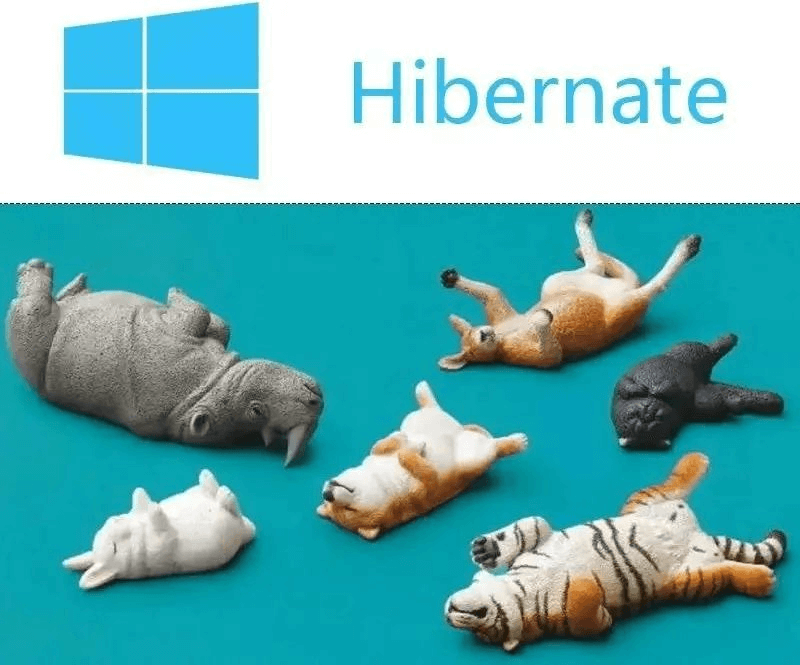 图片10.png 图片10.png