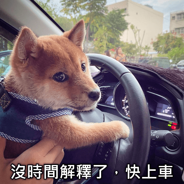 图片3.快上车.png