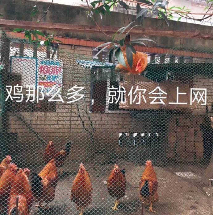 CMD-PowerShell-11.jpg CMD-PowerShell-11.jpg