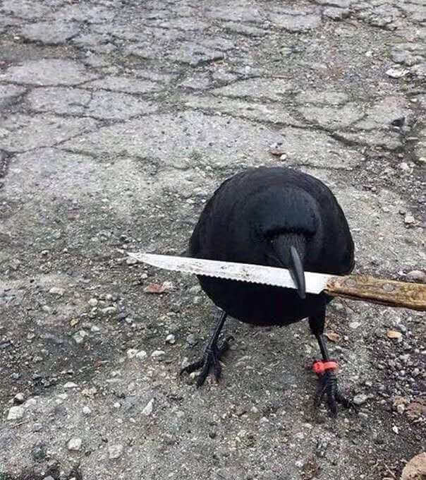 nvidia新卡-6.jpg nvidia新卡-6.jpg