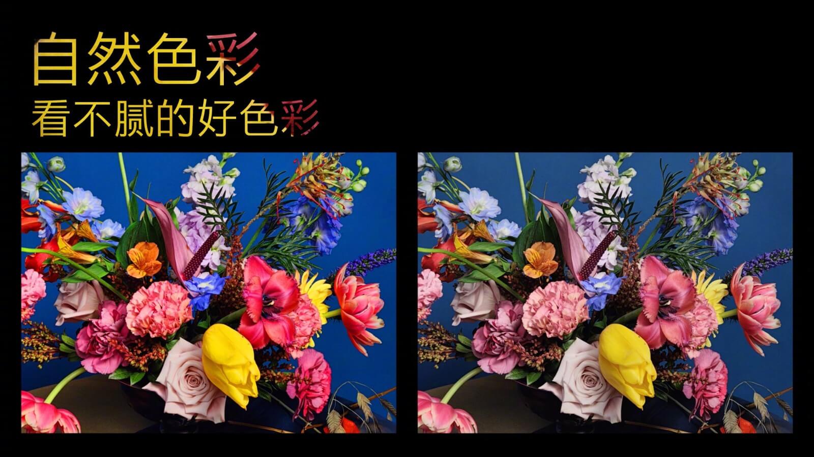 一加10Pro摄像 一加10Pro摄像