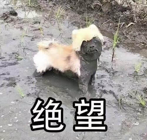 垃圾广告-14.jpg 垃圾广告-14.jpg