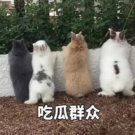 一加10Pro-1.jpg 一加10Pro-1.jpg