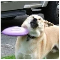 红米K50-1.png 红米K50-1.png