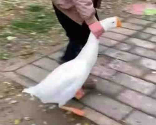 AMD新款CPU-2.jpg AMD新款CPU-2.jpg