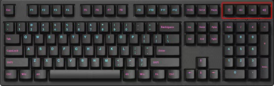 配列区别 配列区别