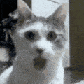 提升游戏帧率-11.gif 提升游戏帧率-11.gif