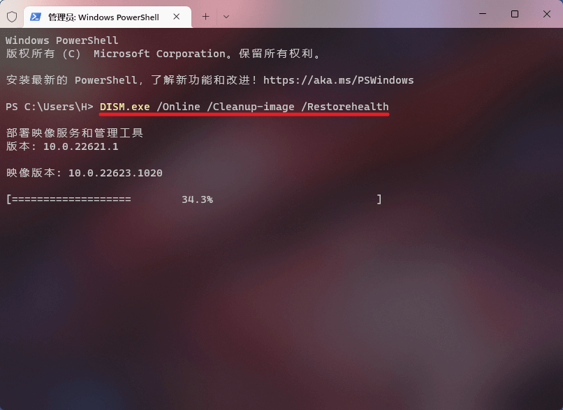 图片10.使用 DISM 命令检查修复.png