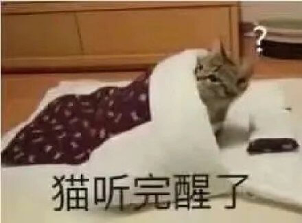 表情包