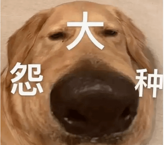 FF91-3.png FF91-3.png