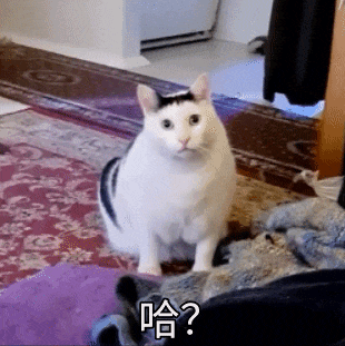 RTX4070-SUPER-6.gif RTX4070-SUPER-6.gif