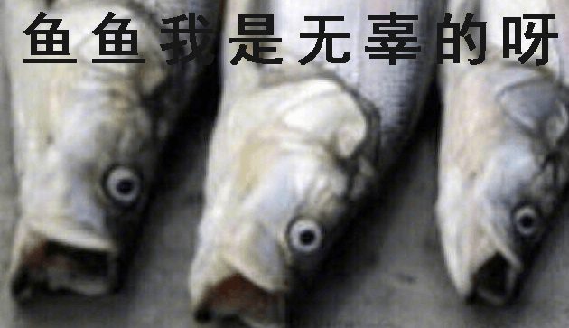 图片5.海洋生物将受到直接影响.png
