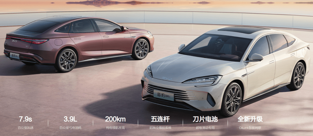 图片6.海豹 DM-i部分数据.png