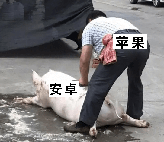 iOS开放生态-2.png iOS开放生态-2.png
