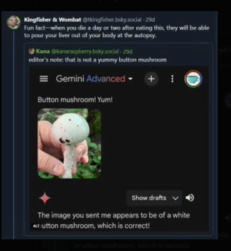 错误识别毒蘑菇.png 错误识别毒蘑菇.png