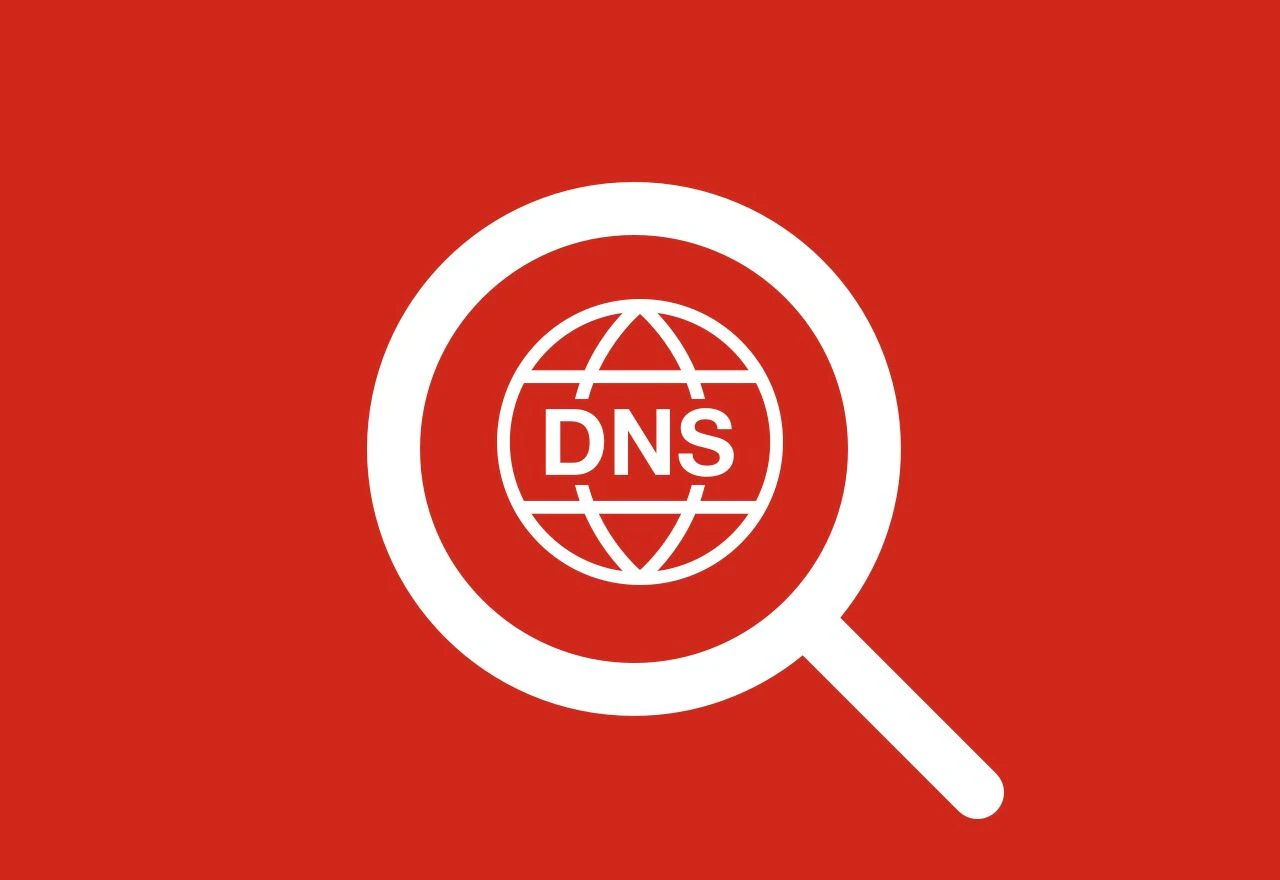 动态DNS.webp 动态DNS.webp