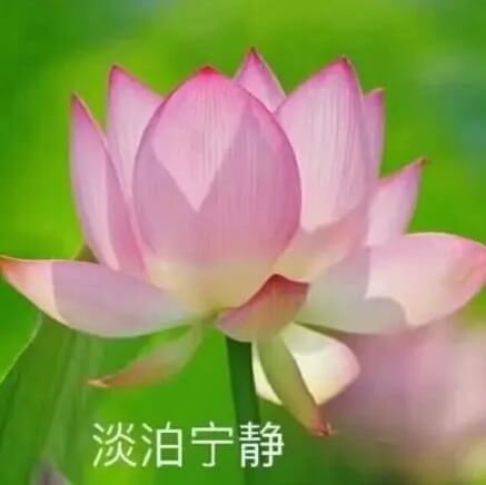 1.淡泊宁静.jpg 1.淡泊宁静.jpg