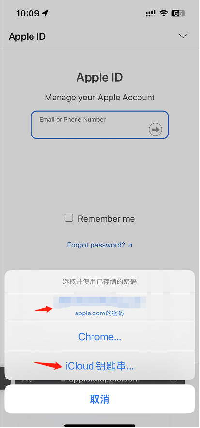 使用iCloud钥匙串-2.png 使用iCloud钥匙串-2.png