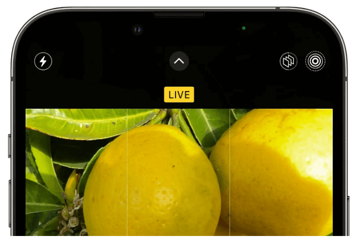 实况照片.png 实况照片.png