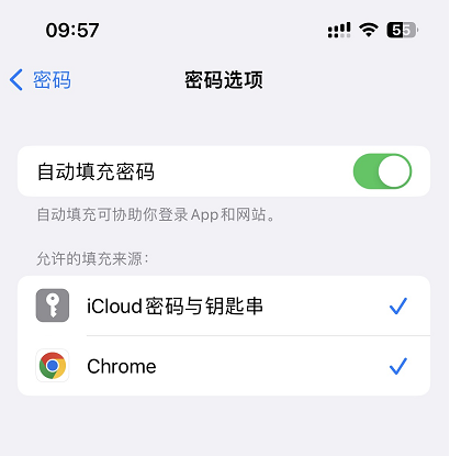 查看iCloud钥匙串-3.png 查看iCloud钥匙串-3.png