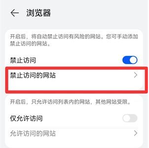 3.屏蔽网站.png 3.屏蔽网站.png