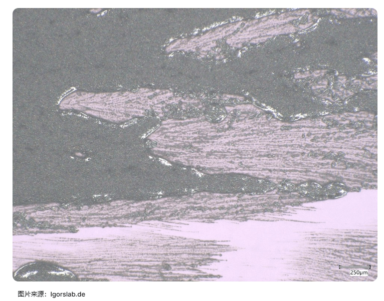 显微镜观察.png 显微镜观察.png