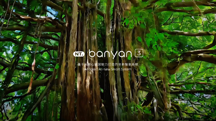 Banyan.jpg