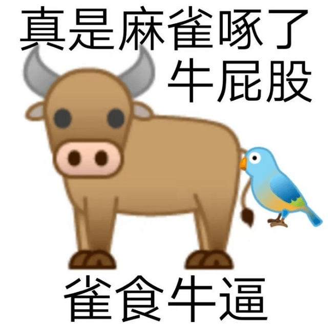 雀食牛逼.png