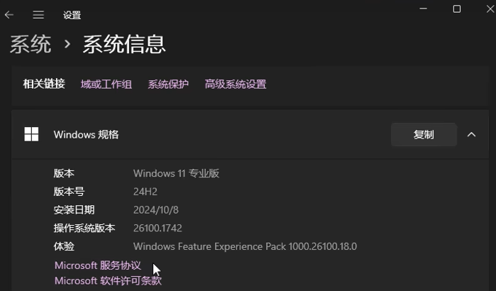 Win11 24H2官方原版截图.png Win11 24H2官方原版截图.png