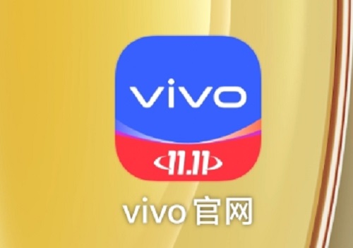 2.vivo官网.jpg