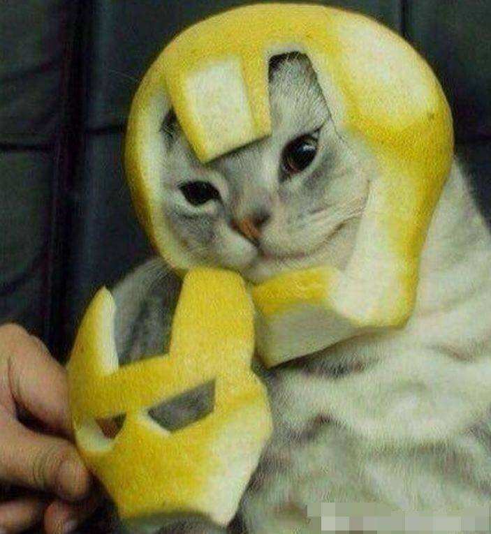 DDR5内存 DDR5内存