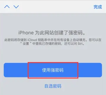 使用苹果强密码.png 使用苹果强密码.png