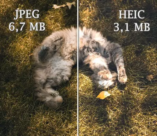heic-vs-jpeg-compressed.png