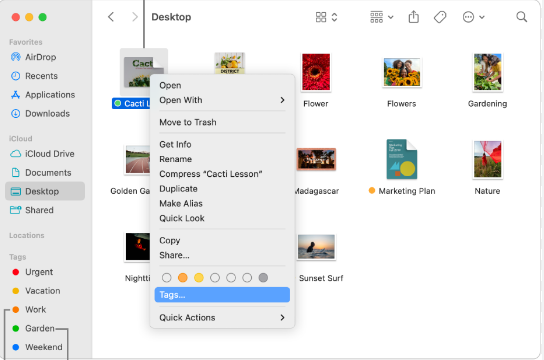 标签.png 标签.png