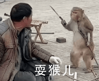 图片13.耍猴儿表情包.png