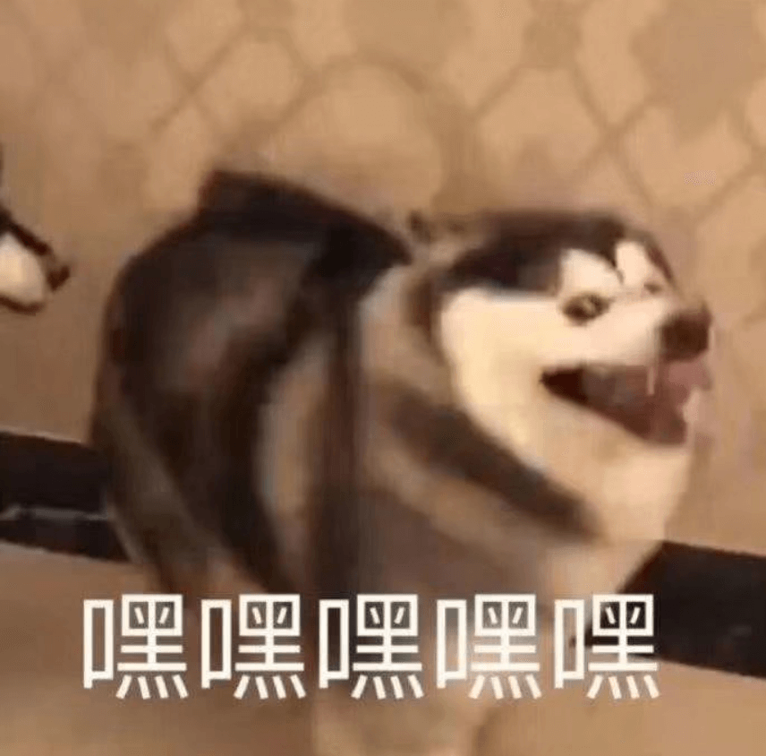 19.表情包.png 19.表情包.png