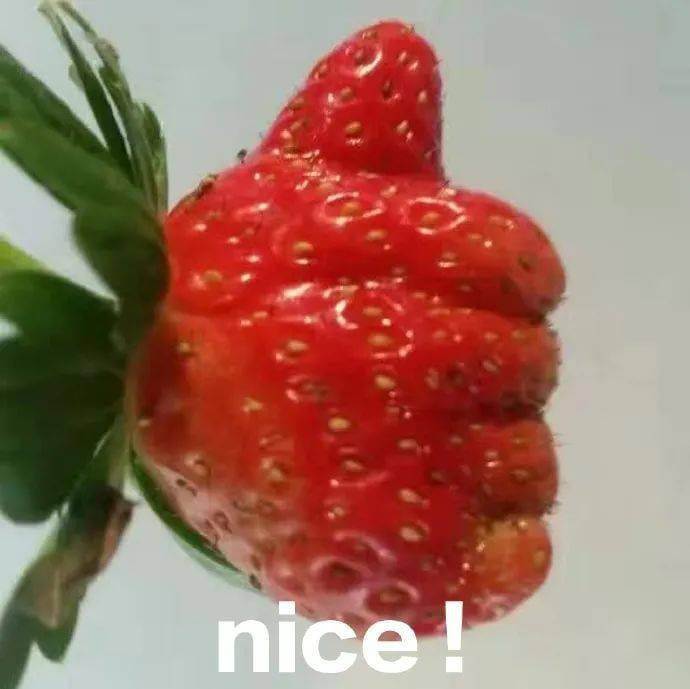 2.nice表情包.jpeg 2.nice表情包.jpeg