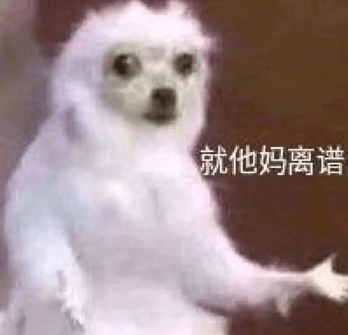 12.离谱表情包.png 12.离谱表情包.png