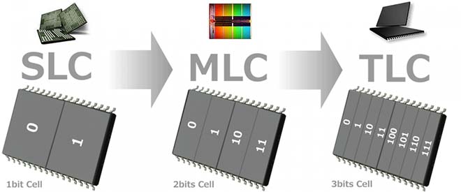 SLC-MLC-TLC.jpg SLC-MLC-TLC.jpg