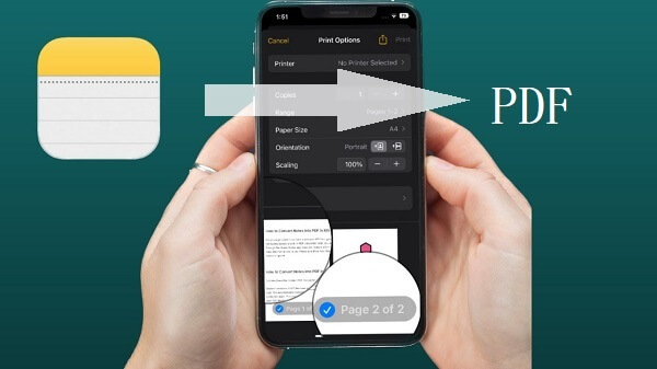 iPhone备忘录怎么导出PDF?保存为PDF更方便分享