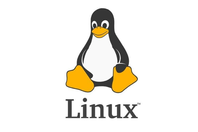 如何在 Linux 系统中创建文件?Linux 创建文件的不同方法总结