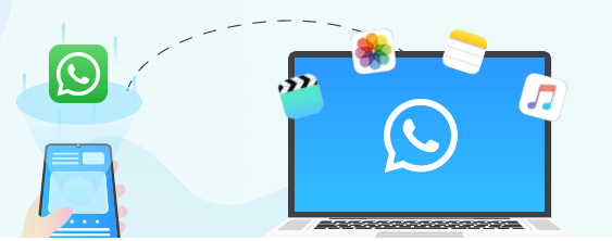 苹果手机如何备份到电脑?三种可行方法介绍