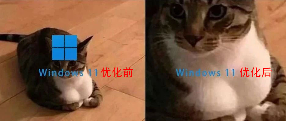 关闭Win 11这些隐藏「性能刺客」后,终于比Win 10还好用了